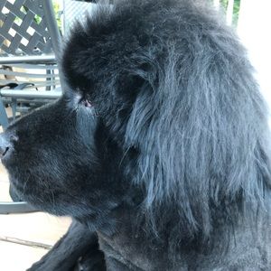 Meet your Posher, Tracy